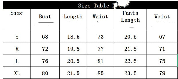 Garter Embroidery Mesh Body Shaping Two-piece Suits